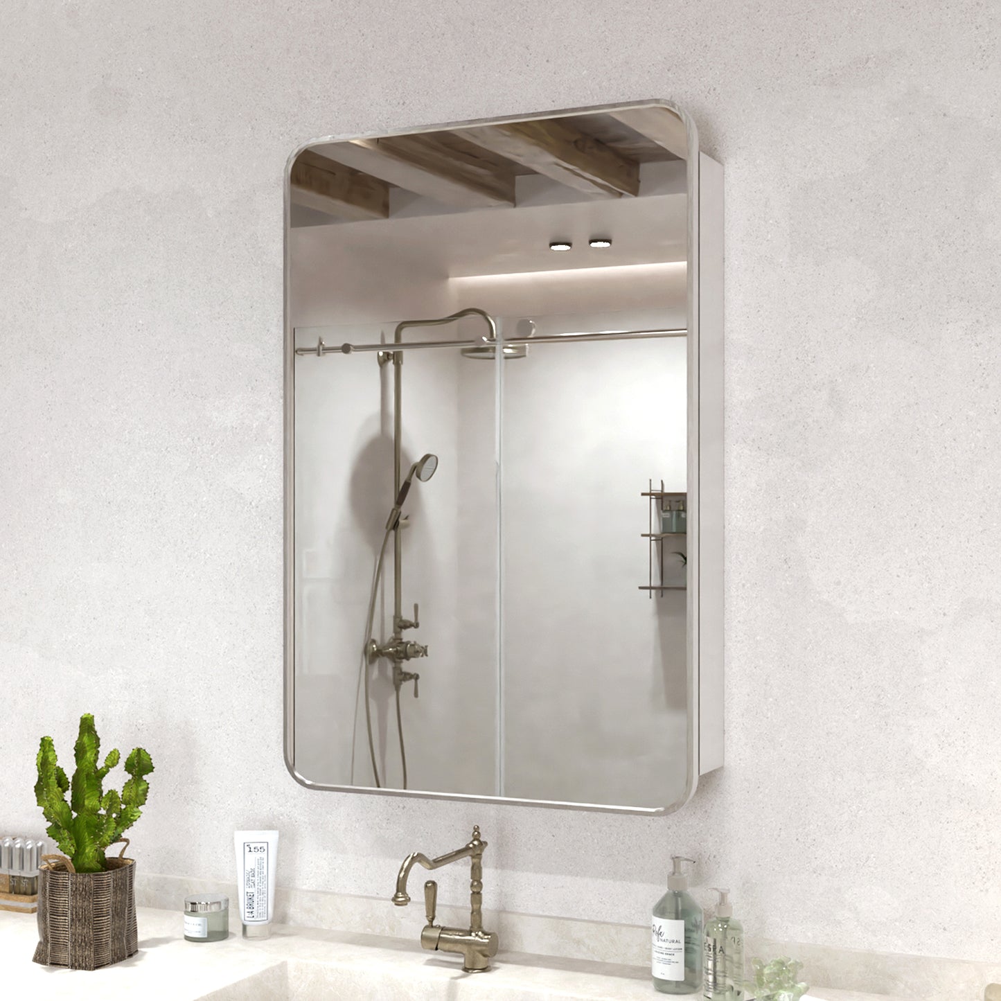 15 in. W. x 24 in. H Rectangular Framed Recessed/Surface Mount Medicine Cabinet with Mirror in Brushed Nickel