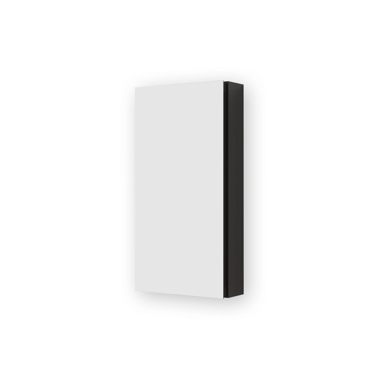 Flicker 12 in. W x 24 in. H Rectangular Aluminum or Surface-Mount Beveled Medicine Cabinet with Mirror