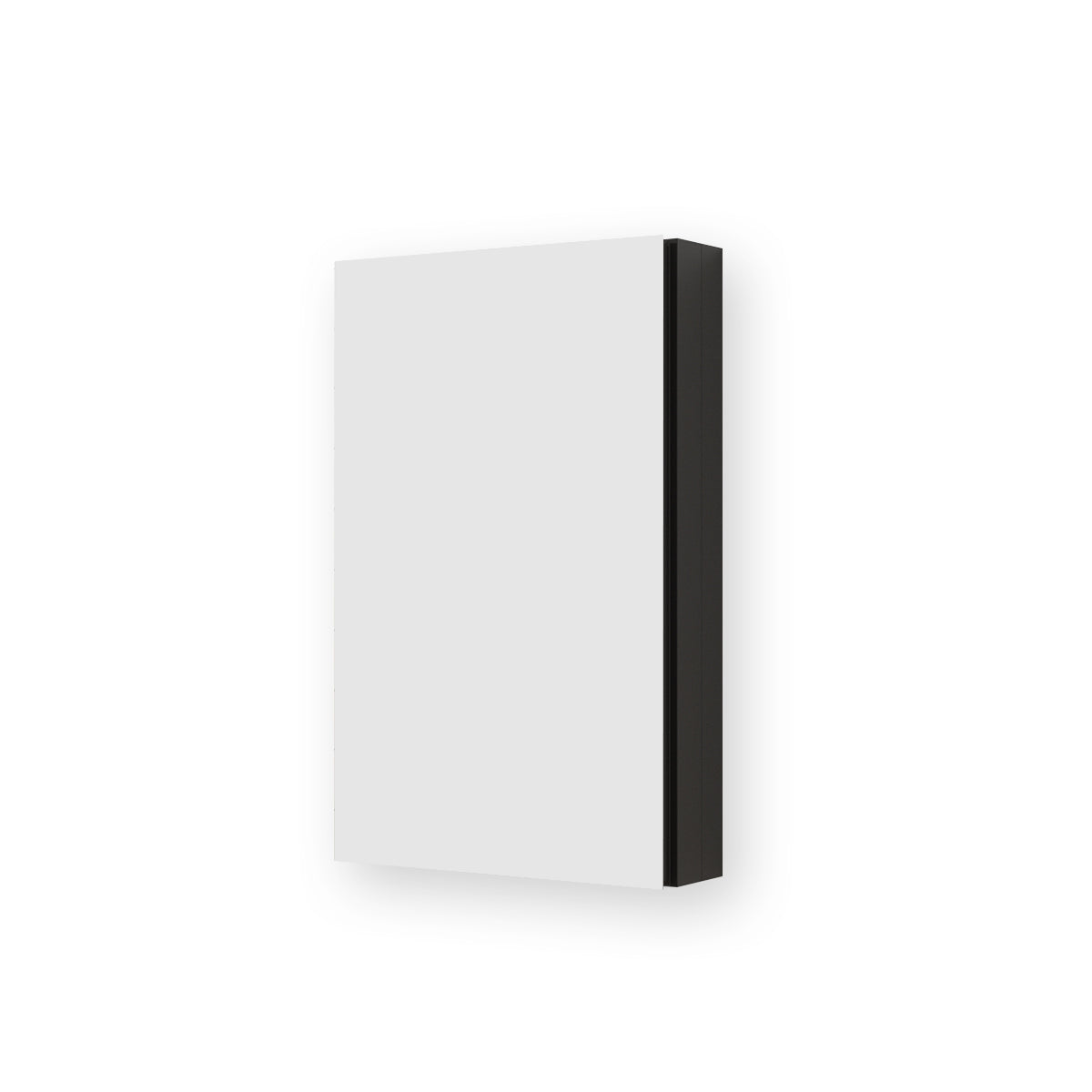 Flicker 15 in. W x 24 in. H Rectangular Aluminum or Surface-Mount Beveled Medicine Cabinet with Mirror