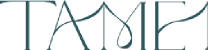 Icon description