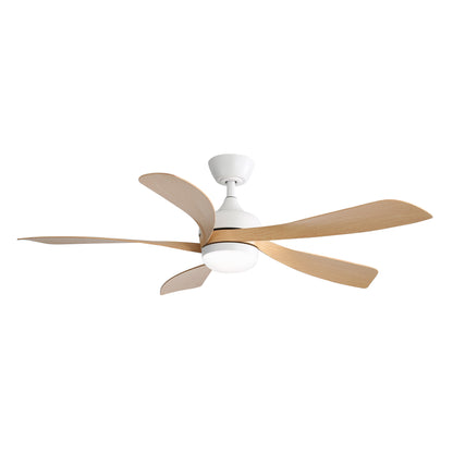 Taimei Sleek 52 in. Ceiling Fan - 5 Precision ABS Blades with Soft LED Light and Whisper-Quiet 6-Speed Remote Control 12_daf4f44f-259d-43b1-896d-0693ea025585
