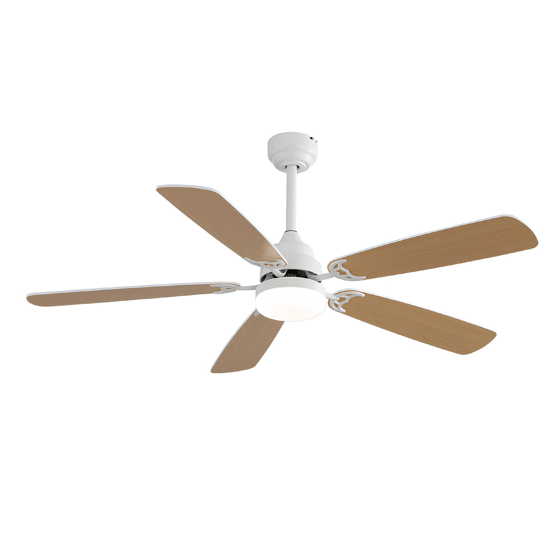Taimei Cirrus 52 in. White Oak Downrod Standard Ceiling Fan with Integrated LED with Remote Included 5 Two-Tone Blades DC Motor 14_358a098b-bef5-4f4f-9aa6-bdaff9c7533e