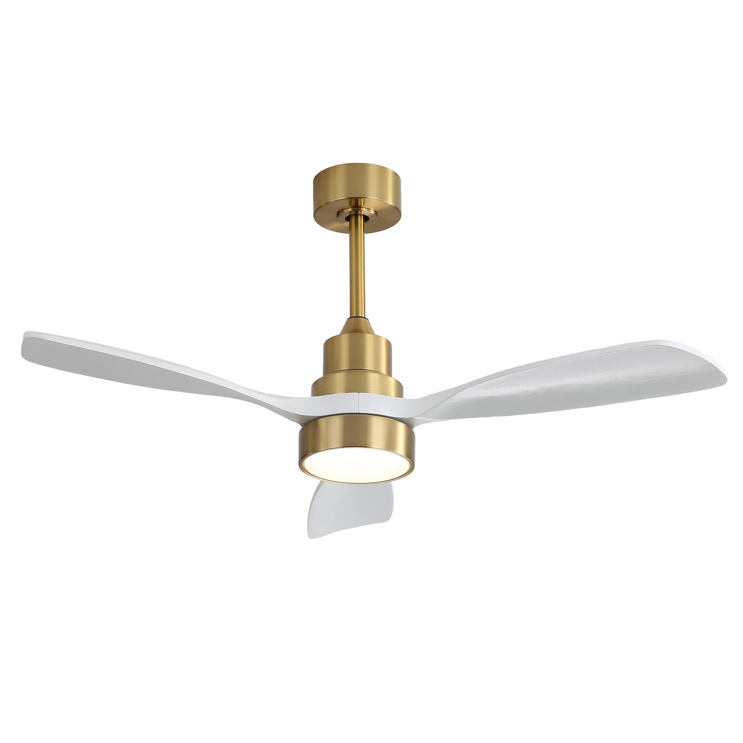 Taimei Auris 48 in. Downrod Standard Ceiling Fan with Integrated LED with Remote Included 3-Reversible Blades