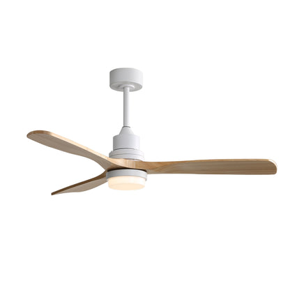Taimei Nimis 52 in. Downrod Standard Ceiling Fan with Integrated LED with Remote Included DC Motor 14_59eecbc9-3d23-4e94-8c3a-4e9e557499c7