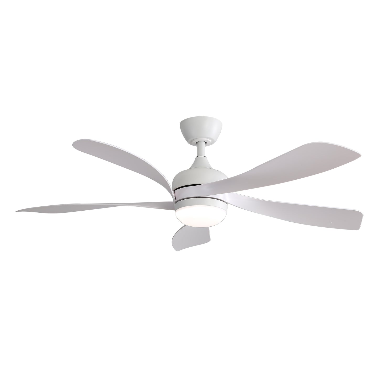 Taimei Sleek 52 in. Ceiling Fan - 5 Precision ABS Blades with Soft LED Light and Whisper-Quiet 6-Speed Remote Control 14_664389d9-e3cf-43a3-a037-38e62516a1e6