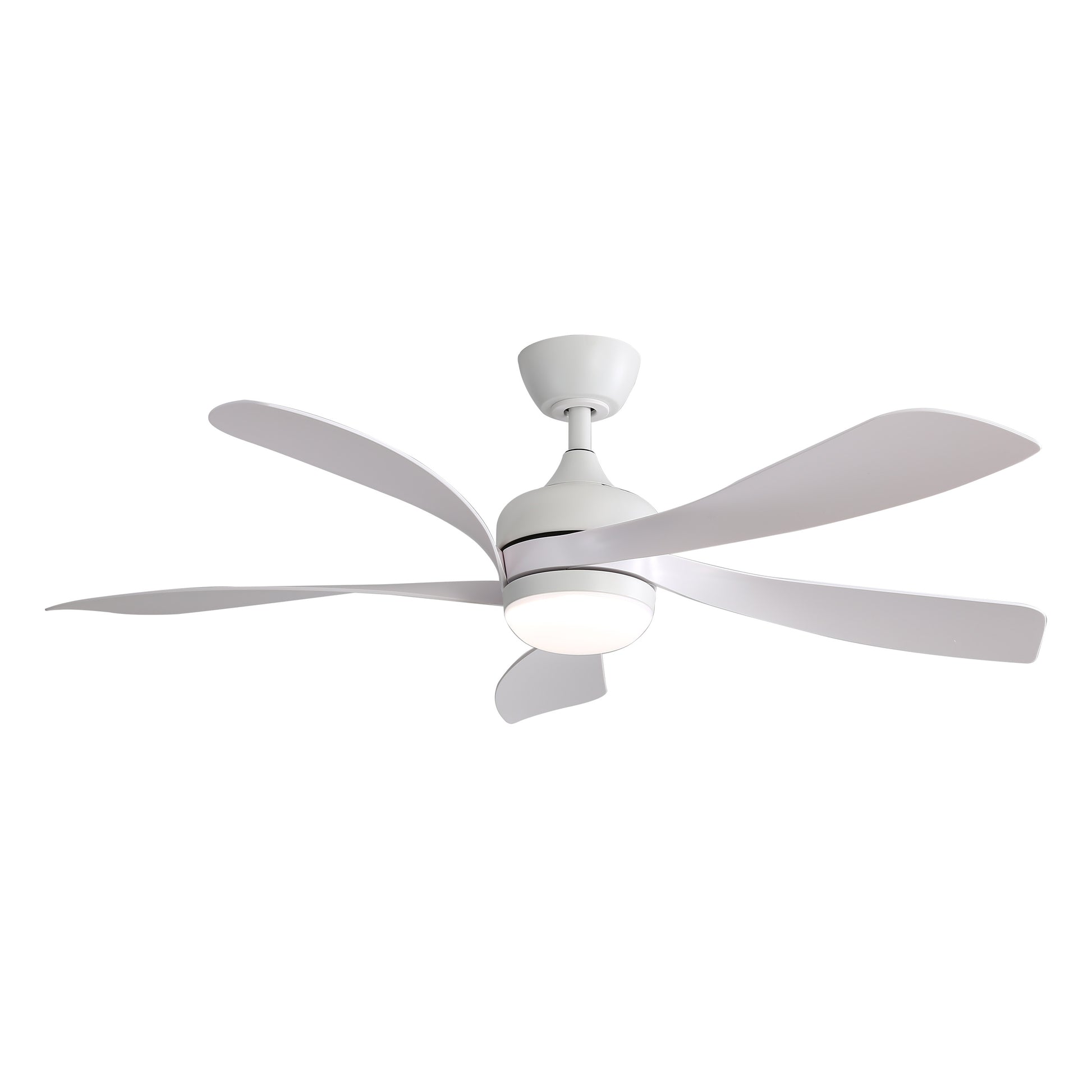 Taimei Sleek 52 in. Ceiling Fan - 5 Precision ABS Blades with Soft LED Light and Whisper-Quiet 6-Speed Remote Control 14_664389d9-e3cf-43a3-a037-38e62516a1e6