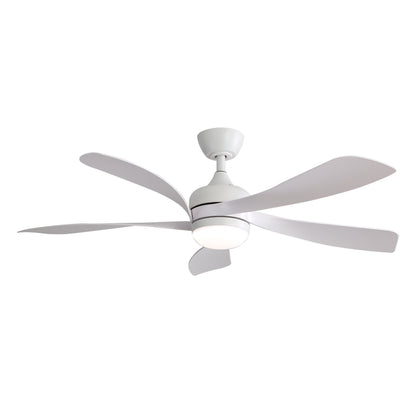 Taimei Sleek 52 in. Ceiling Fan - 5 Precision ABS Blades with Soft LED Light and Whisper-Quiet 6-Speed Remote Control 14_664389d9-e3cf-43a3-a037-38e62516a1e6