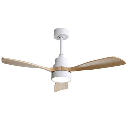 Taimei Auris 48 in. Downrod Standard Ceiling Fan with Integrated LED with Remote Included 3-Reversible Blades