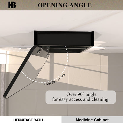 Rectangular Framed Recessed/Surface Mount Medicine Cabinet with Mirror in Matte Black