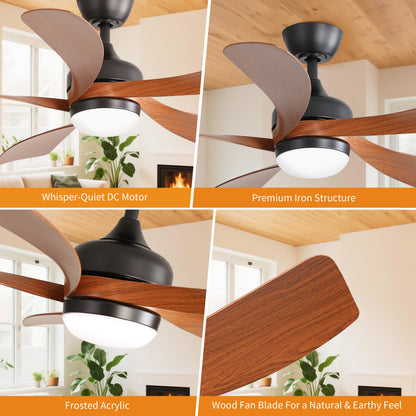 Taimei Sleek 52 in. Ceiling Fan - 5 Precision ABS Blades with Soft LED Light and Whisper-Quiet 6-Speed Remote Control 15_0681dd19-b4ab-4c8c-bb0f-4ab685e1332b