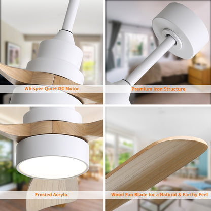 Taimei Auris 48 in. Downrod Standard Ceiling Fan with Integrated LED with Remote Included 3-Reversible Blades