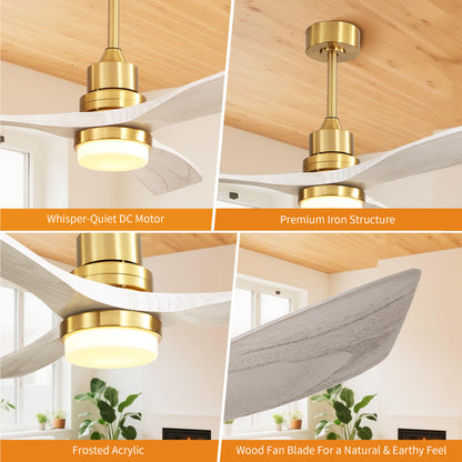 Taimei Nimis 52 in. Downrod Standard Ceiling Fan with Integrated LED with Remote Included DC Motor 15_460e2f68-870c-4392-b03b-081a919cdc9e