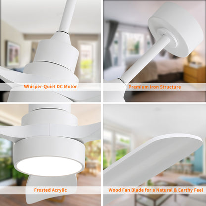 Taimei Auris 48 in. Downrod Standard Ceiling Fan with Integrated LED with Remote Included 3-Reversible Blades