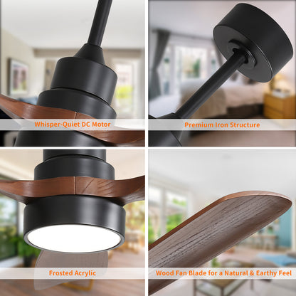 Taimei Auris 48 in. Downrod Standard Ceiling Fan with Integrated LED with Remote Included 3-Reversible Blades