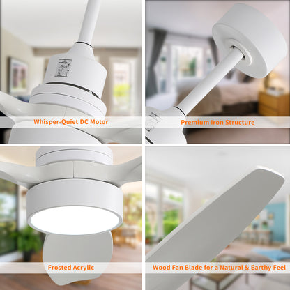 Taimei Selen 52 in. Downrod Standard Ceiling Fan with Integrated LED with Remote Included 3-Blade Reversible