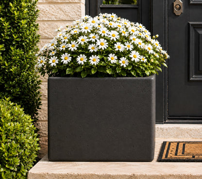 Herbora 21.5 in. Magnesium Oxide Planter Box for Indoor Outdoor Use