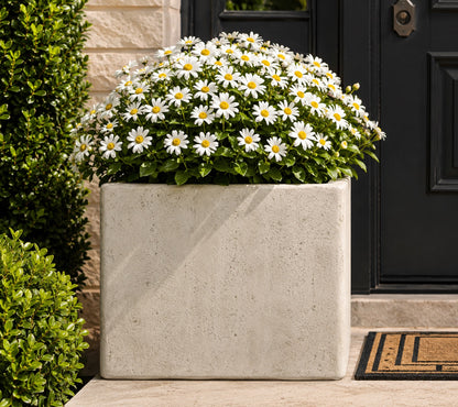 Herbora 21.5 in. Magnesium Oxide Planter Box for Indoor Outdoor Use