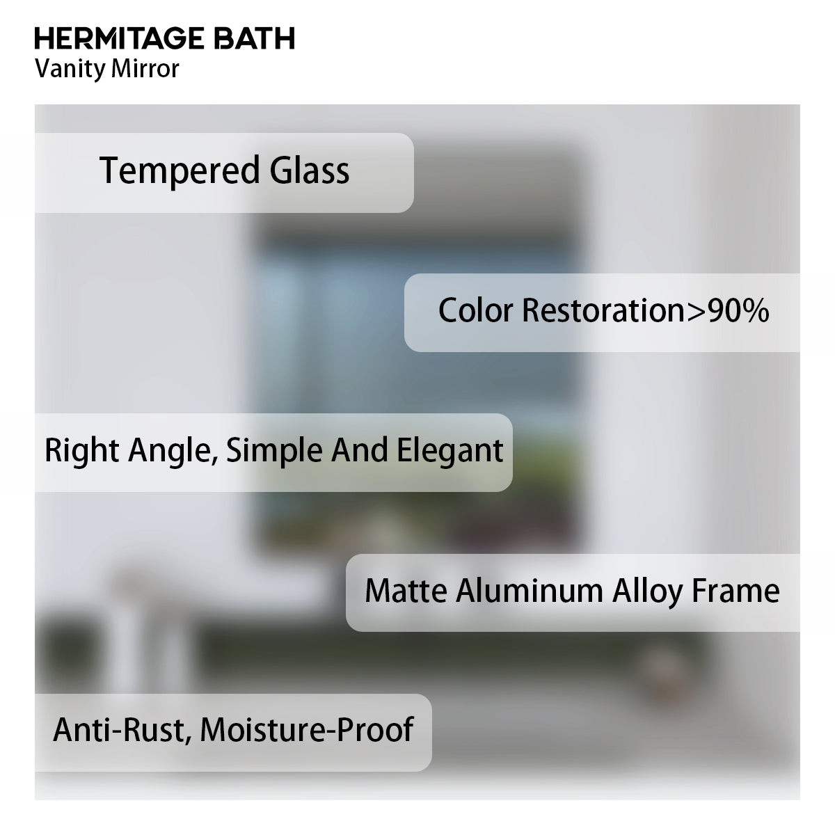 Oblivion 24 in. W. x 30 in. H Rectangular Framed Wall Bathroom Vanity Mirror 2430BL-12
