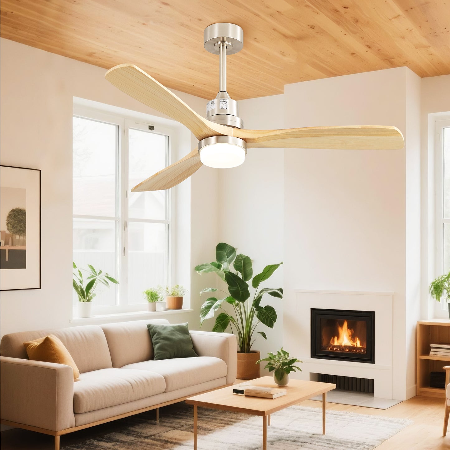 Taimei Nimis 52 in. Downrod Standard Ceiling Fan with Integrated LED with Remote Included DC Motor 2_63bba106-c5a3-49c8-98d1-aa236bc69354