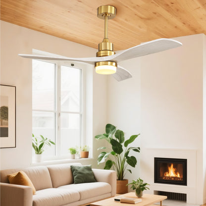 Taimei Nimis 52 in. Downrod Standard Ceiling Fan with Integrated LED with Remote Included DC Motor 2_9ed72eaf-9b9a-4ba7-8a98-722d34521968