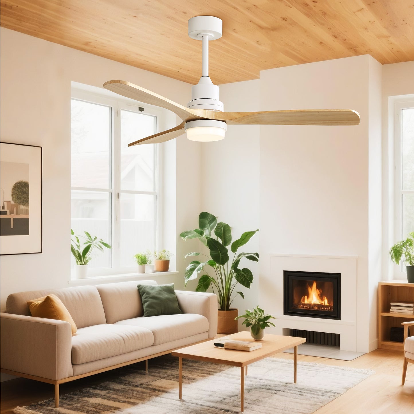Taimei Nimis 52 in. Downrod Standard Ceiling Fan with Integrated LED with Remote Included DC Motor 2_bf7cd09c-b8ca-4791-a990-41e39a13988b