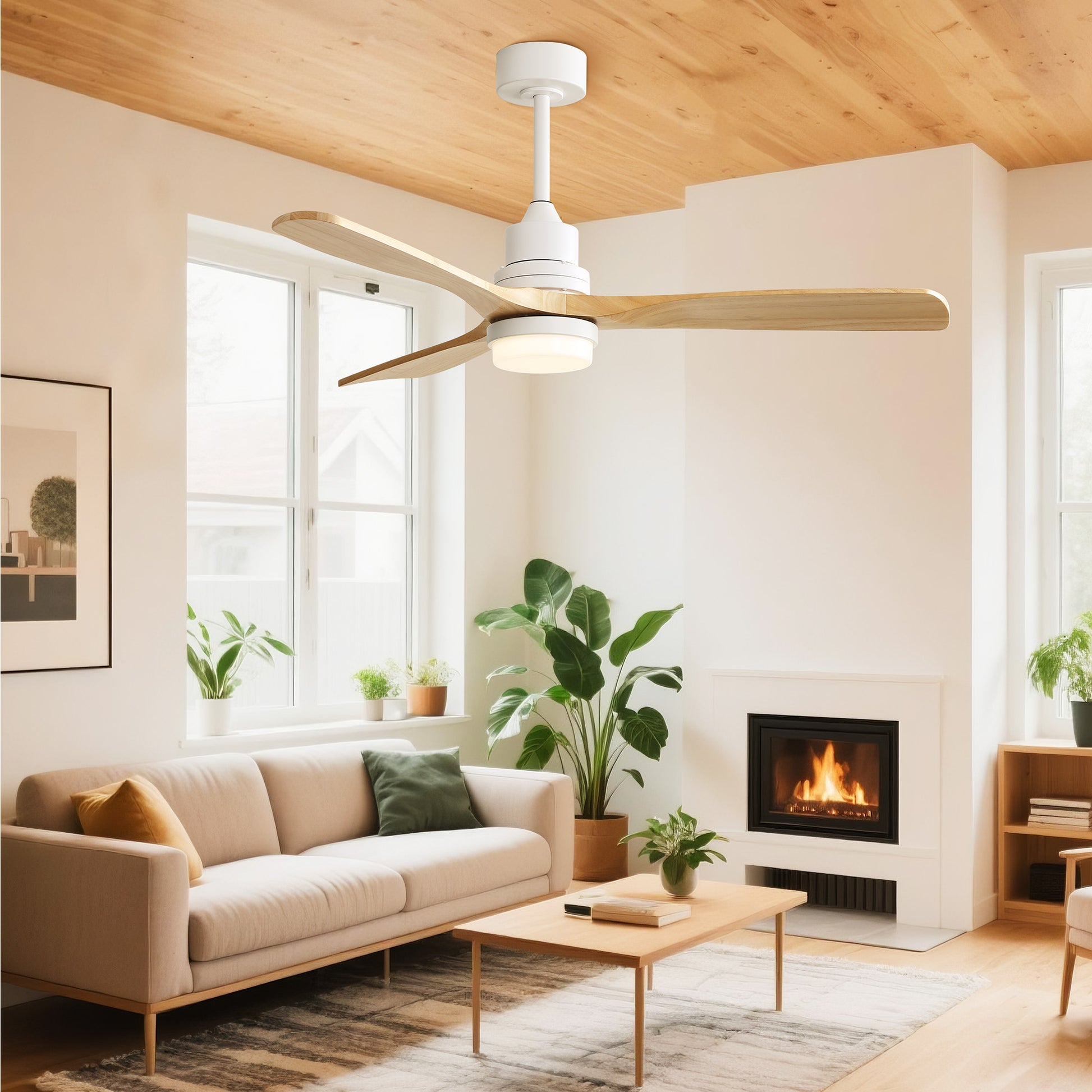 Taimei Nimis 52 in. Downrod Standard Ceiling Fan with Integrated LED with Remote Included DC Motor 2_bf7cd09c-b8ca-4791-a990-41e39a13988b