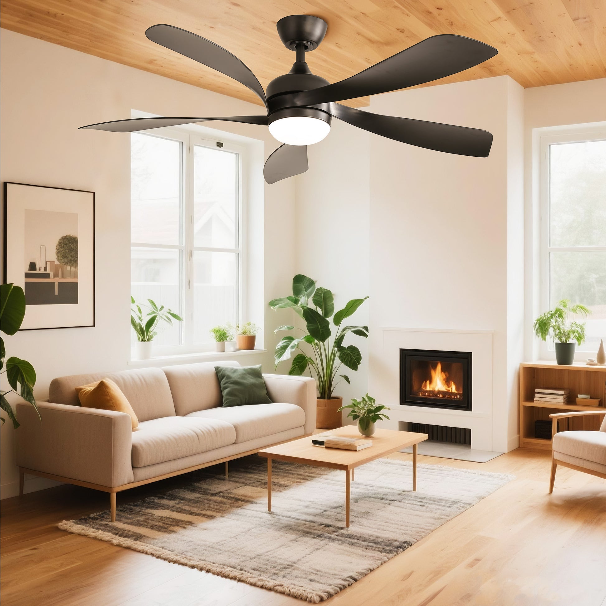 Taimei Sleek 52 in. Ceiling Fan - 5 Precision ABS Blades with Soft LED Light and Whisper-Quiet 6-Speed Remote Control 2_cbd01b40-79a2-4129-8fb8-4a803b18069a