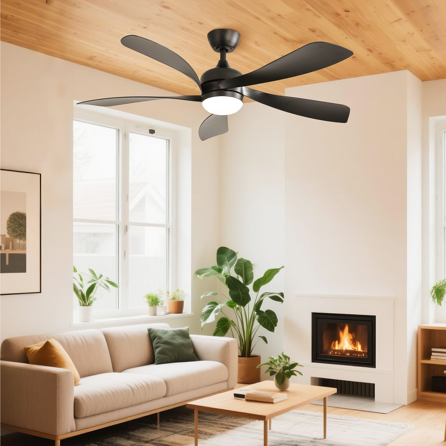 Taimei Sleek 52 in. Ceiling Fan - 5 Precision ABS Blades with Soft LED Light and Whisper-Quiet 6-Speed Remote Control Matte Black & Black 2_fcb02ad1-84ab-4f89-a333-88356a41fc70