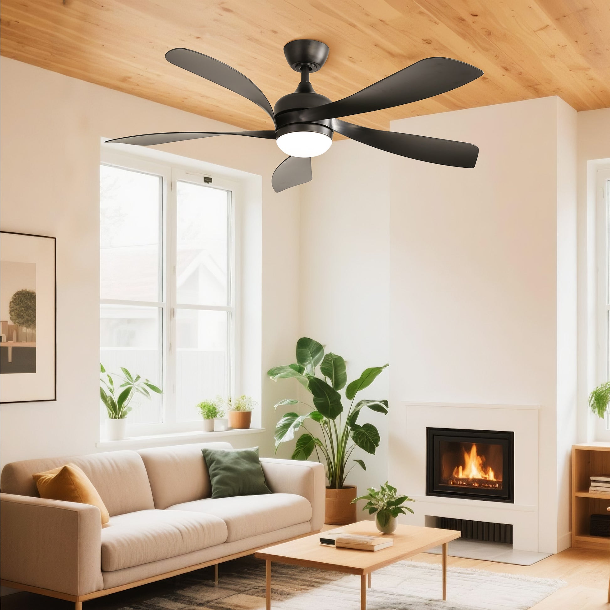 Taimei Sleek 52 in. Ceiling Fan - 5 Precision ABS Blades with Soft LED Light and Whisper-Quiet 6-Speed Remote Control Matte Black & Black 2_fcb02ad1-84ab-4f89-a333-88356a41fc70