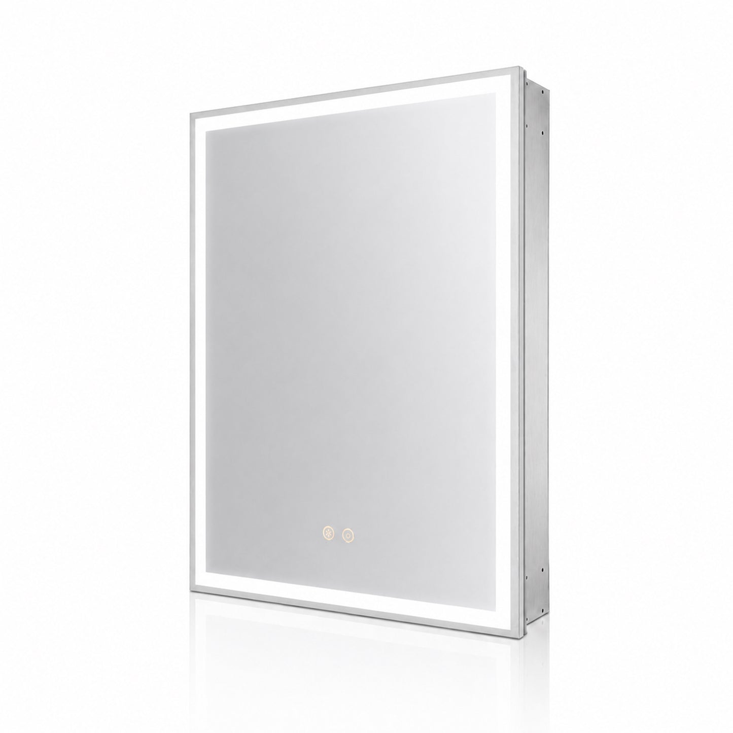Kaelis Rectangular Aluminum Recessed/Surface Mount Medicine Cabinet with Mirror in Silver