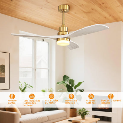 Taimei Nimis 52 in. Downrod Standard Ceiling Fan with Integrated LED with Remote Included DC Motor 3_6d6a5378-b0e5-4afc-8355-1fb1f489edc9