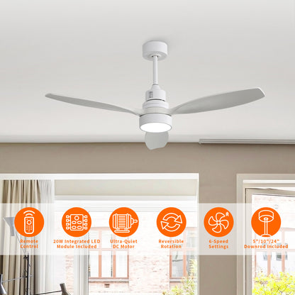 Taimei Selen 52 in. Downrod Standard Ceiling Fan with Integrated LED with Remote Included 3-Blade Reversible
