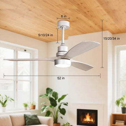 Taimei Selen 52 in. Downrod Standard Ceiling Fan with Integrated LED with Remote Included 3-Blade Reversible