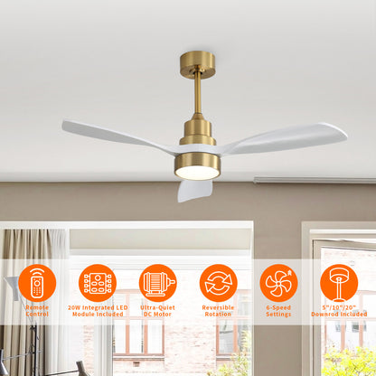 Taimei Auris 48 in. Downrod Standard Ceiling Fan with Integrated LED with Remote Included 3-Reversible Blades
