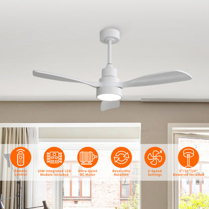 Taimei Auris 48 in. Downrod Standard Ceiling Fan with Integrated LED with Remote Included 3-Reversible Blades