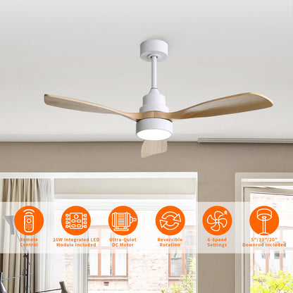 Taimei Auris 48 in. Downrod Standard Ceiling Fan with Integrated LED with Remote Included 3-Reversible Blades