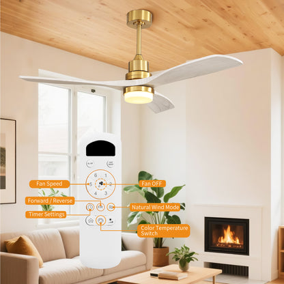 Taimei Nimis 52 in. Downrod Standard Ceiling Fan with Integrated LED with Remote Included DC Motor 5_59dd6cee-d7da-4b59-b08f-24514f82d8d4