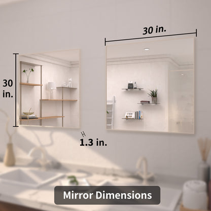 TaiMei 30 in. W x 30 in. H  Rectangular Framed Bathroom Vanity Mirror
