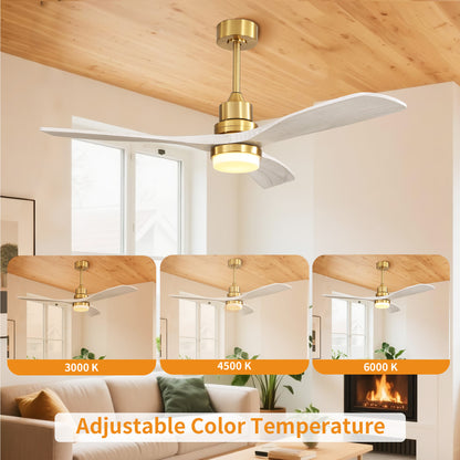 Taimei Nimis 52 in. Downrod Standard Ceiling Fan with Integrated LED with Remote Included DC Motor 6_4300a1dc-1344-48e4-9c3c-28dc4647ae37