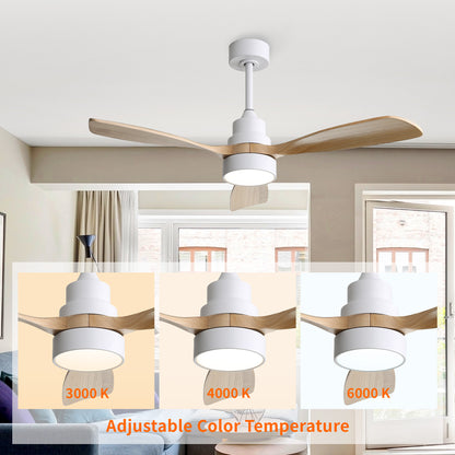 Taimei Auris 48 in. Downrod Standard Ceiling Fan with Integrated LED with Remote Included 3-Reversible Blades