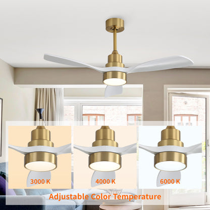 Taimei Auris 48 in. Downrod Standard Ceiling Fan with Integrated LED with Remote Included 3-Reversible Blades