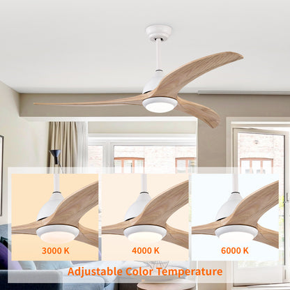 Taimei Cyre 52 in. Downrod Standard Ceiling Fan with Integrated LED with Remote Included DC Motor 6_fa68443f-c607-4c58-9dfc-9f7ade238822