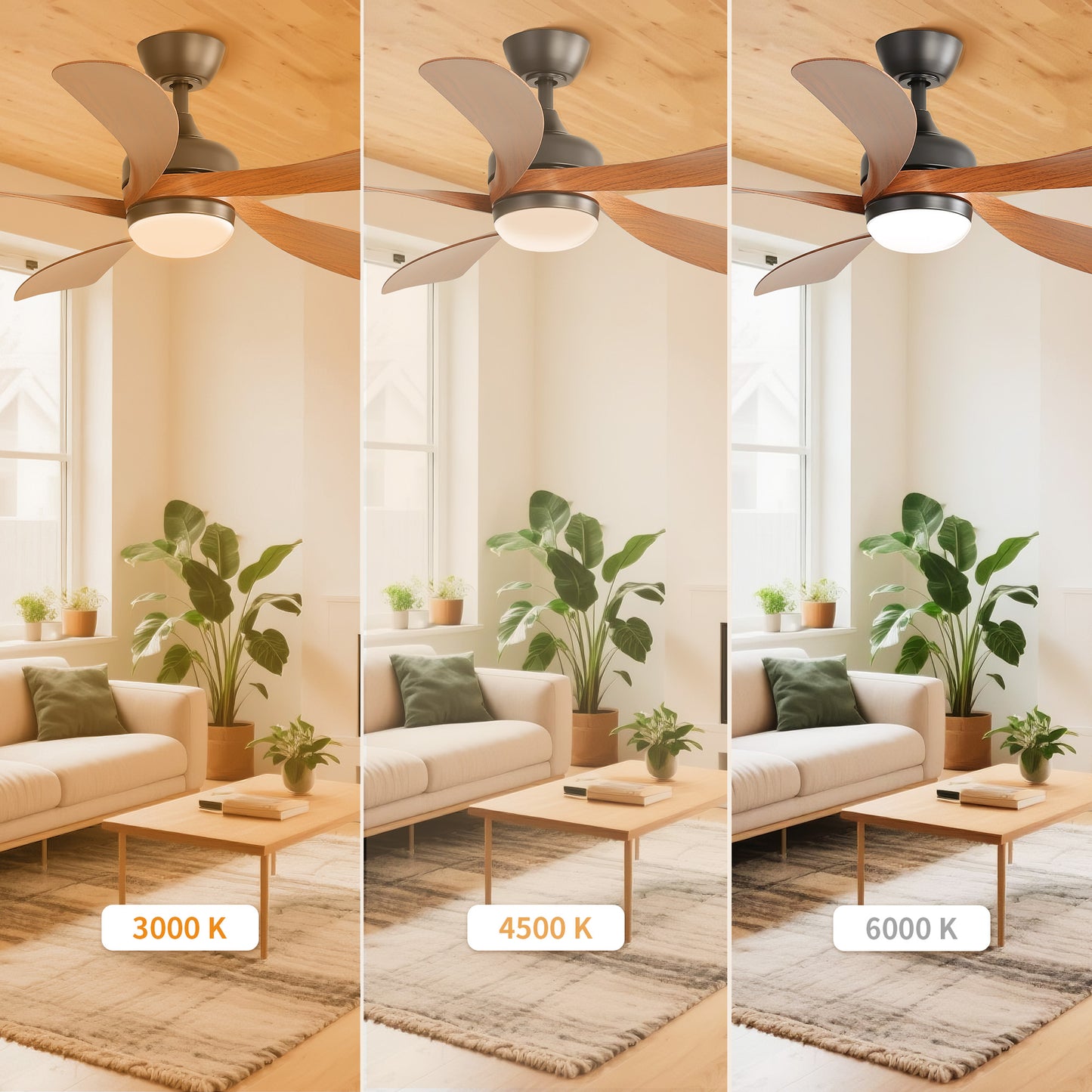 Taimei Sleek 52 in. Ceiling Fan - 5 Precision ABS Blades with Soft LED Light and Whisper-Quiet 6-Speed Remote Control 7_255468f2-4745-4fb3-b60f-a2e5bad86079