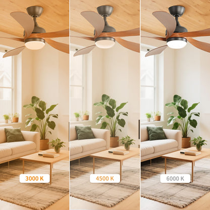 Taimei Sleek 52 in. Ceiling Fan - 5 Precision ABS Blades with Soft LED Light and Whisper-Quiet 6-Speed Remote Control 7_255468f2-4745-4fb3-b60f-a2e5bad86079
