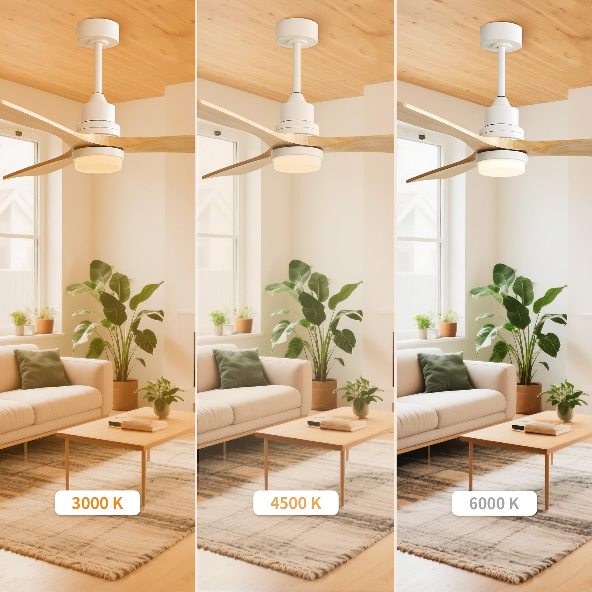 Taimei Nimis 52 in. Downrod Standard Ceiling Fan with Integrated LED with Remote Included DC Motor 7_2c452c73-fe71-41d6-be4a-fa68bc0377e6
