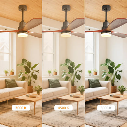 Taimei Nimis 52 in. Downrod Standard Ceiling Fan with Integrated LED with Remote Included DC Motor 7_2dd6c463-4ef1-4731-ac18-f94638921554