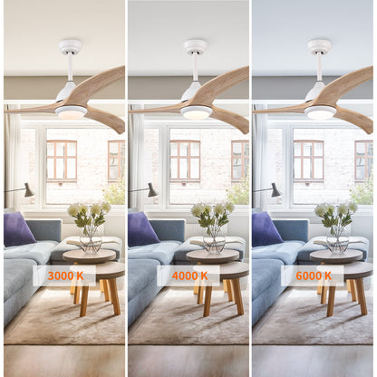 Taimei Cyre 52 in. Downrod Standard Ceiling Fan with Integrated LED with Remote Included DC Motor 7_4b160d19-20ba-48ef-844e-74b2edd9630d