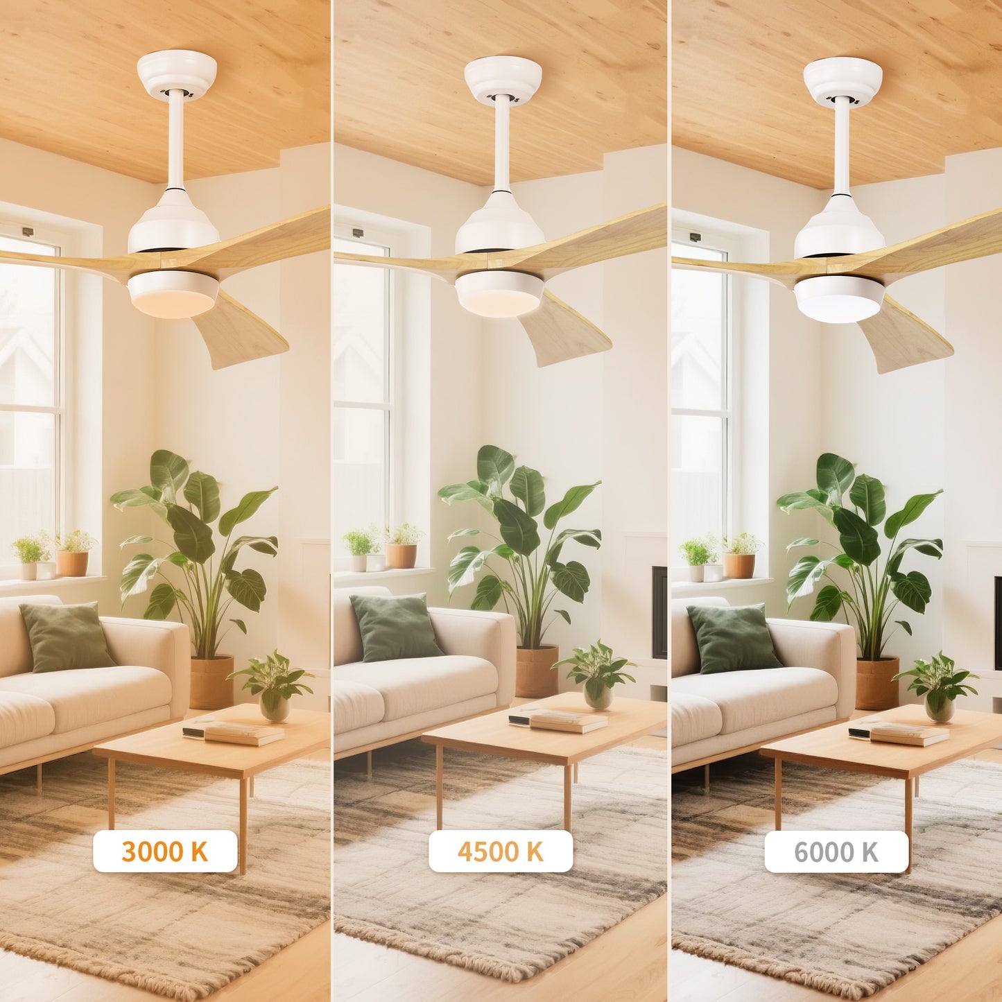 Taimei Helio 52 in. Downrod Modern Ceiling Fan with Dimmable LED with Remote Included DC Motor 7_579af69b-0436-4254-88a6-4bc94d5ee969