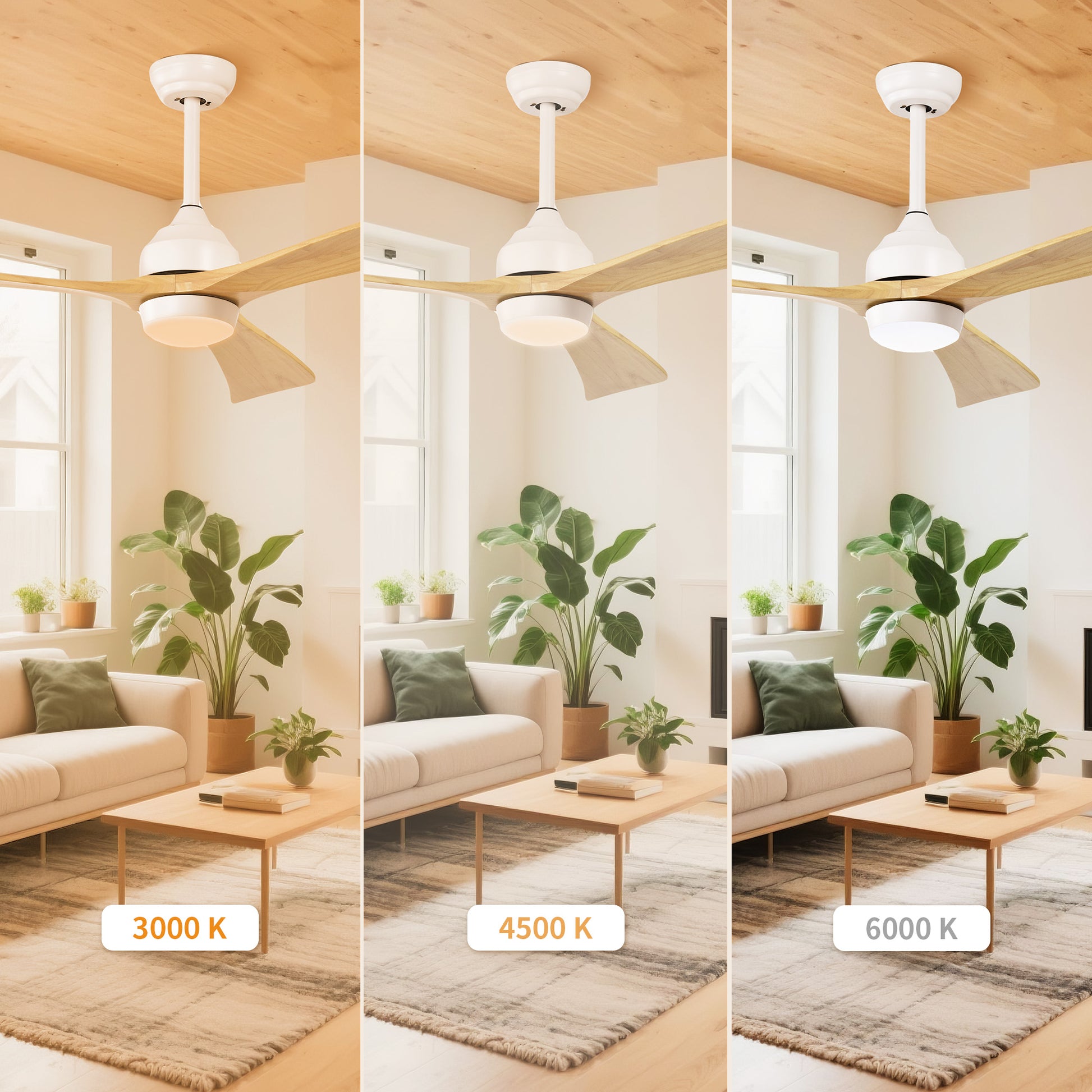 Taimei Helio 52 in. Downrod Modern Ceiling Fan with Dimmable LED with Remote Included DC Motor 7_579af69b-0436-4254-88a6-4bc94d5ee969
