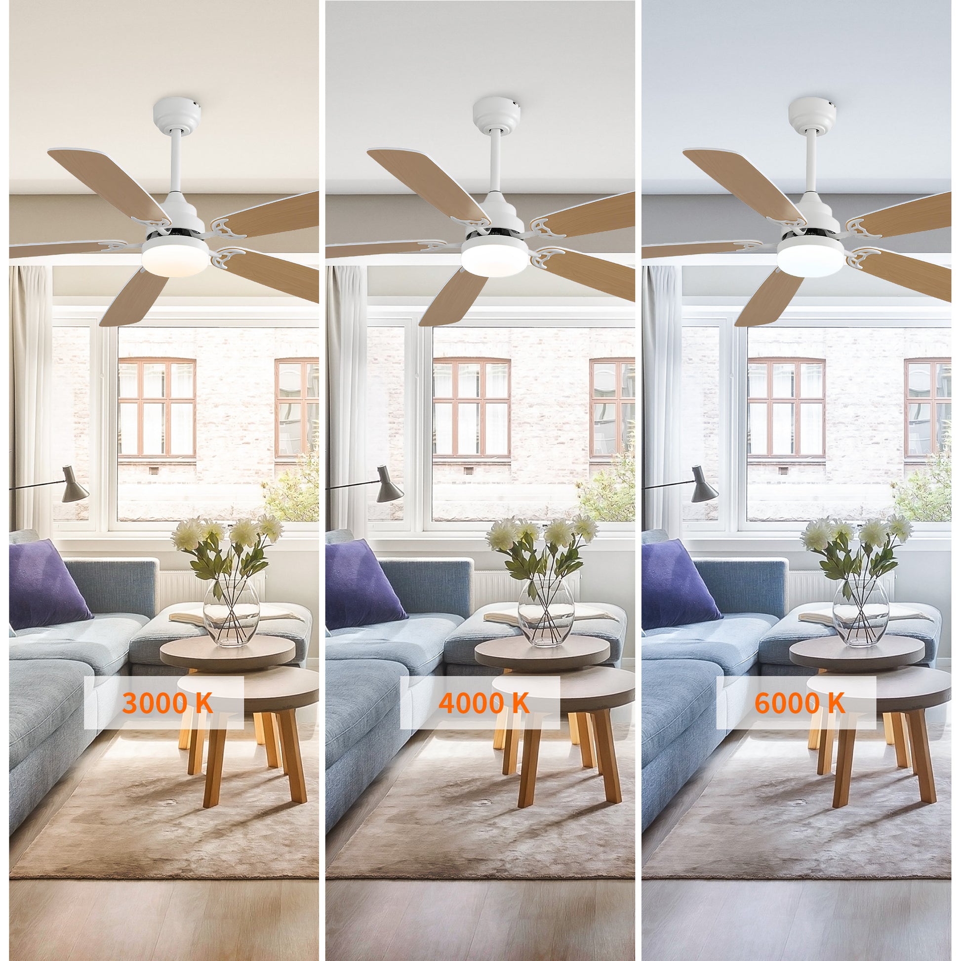 Taimei Cirrus 52 in. White Oak Downrod Standard Ceiling Fan with Integrated LED with Remote Included 5 Two-Tone Blades DC Motor 7_5eea4888-e113-4fd9-9d25-e0d25d30bd05